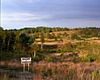 Chobham Common